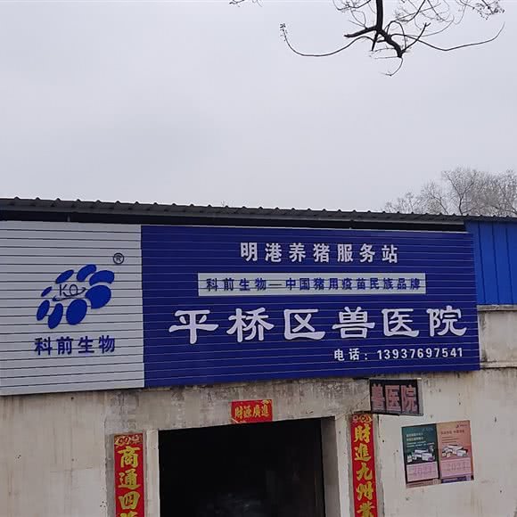 平桥区兽医院:信阳市平桥区明港东站附近