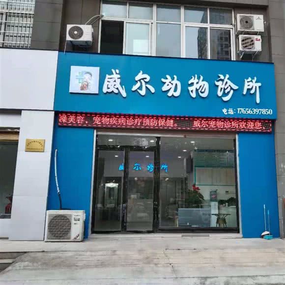 威尔动物诊所:信阳市平桥区百花会展中心/市政府附近