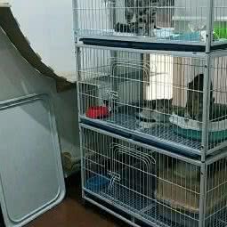 新艺宠物生活馆:信阳市平桥区世纪广场/油脂厂附近