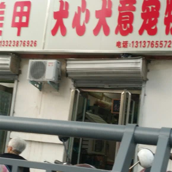 犬心犬意宠物店:周口市川汇区川汇河北/北花园附近