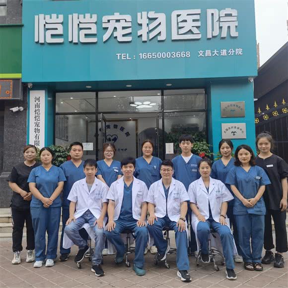 恺恺宠物医院(文昌路店):周口市川汇区川汇河北/北花园附近