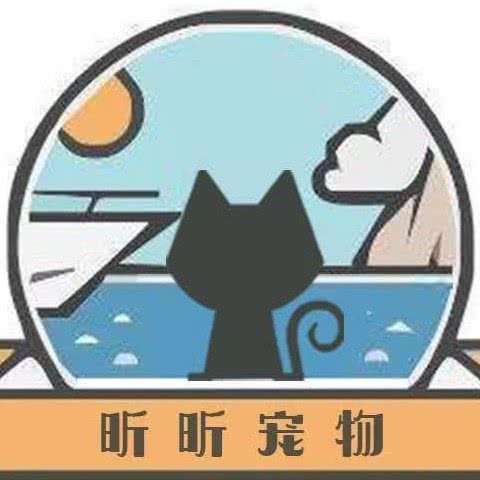 昕昕宠物工作室:周口市川汇区交通路附近