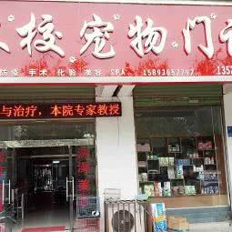 农校宠物门诊:周口市川汇区五一广场附近