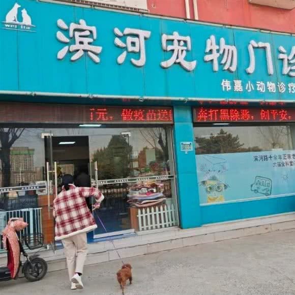 伟嘉滨河宠物门诊:周口市川汇区滨河公园附近