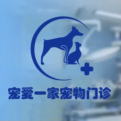 宠爱一家宠物门诊:周口市淮阳区淮阳区附近