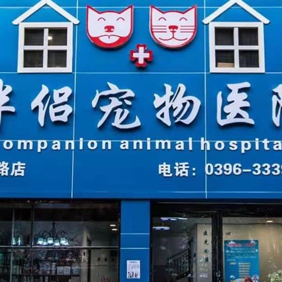 伴侣宠物医院(金雀店):驻马店市驿城区金雀路附近