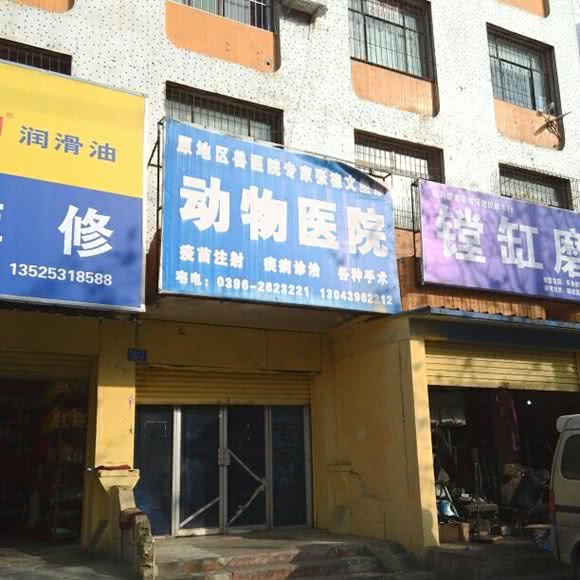 动物医院(雪松大道店):驻马店市驿城区雪松大道附近