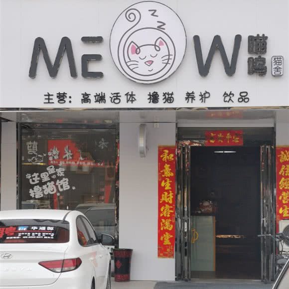 Meow喵呜撸猫聚集地:驻马店市驿城区大华城/白桥路附近
