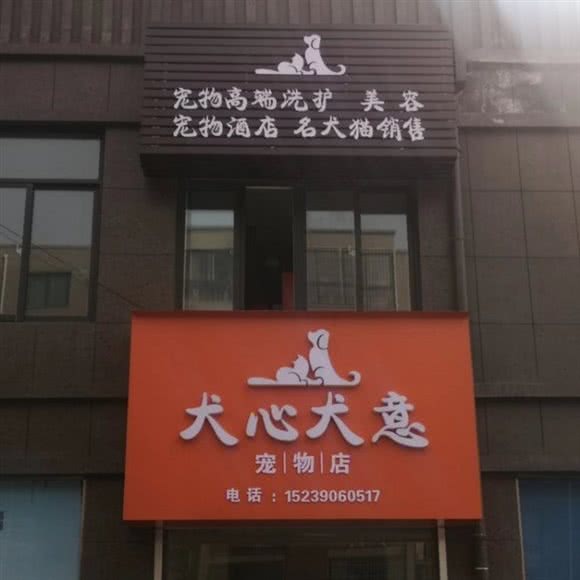 犬心犬意宠物店(天中第一城店):驻马店市驿城区黄淮学院附近