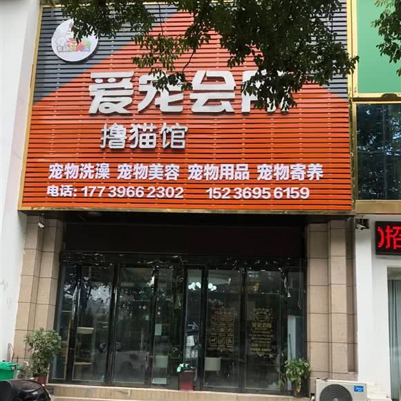 爱宠会所:驻马店市驿城区爱克广场附近