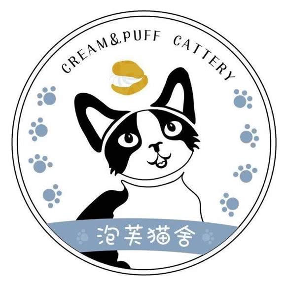 泡芙猫舍(爱克首府店):驻马店市驿城区爱克广场附近