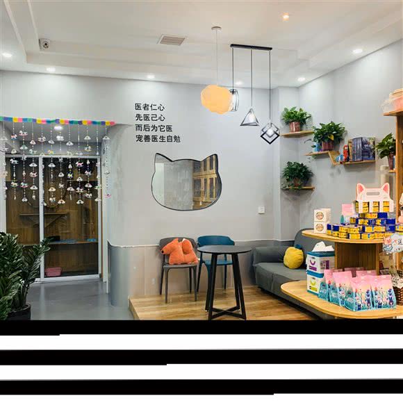 宠善宠物医院:驻马店市驿城区爱克广场附近