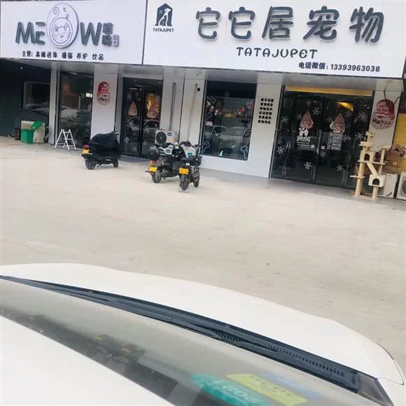Meow猫咖·撸猫馆·它它居·宠物:驻马店市驿城区文明路南附近