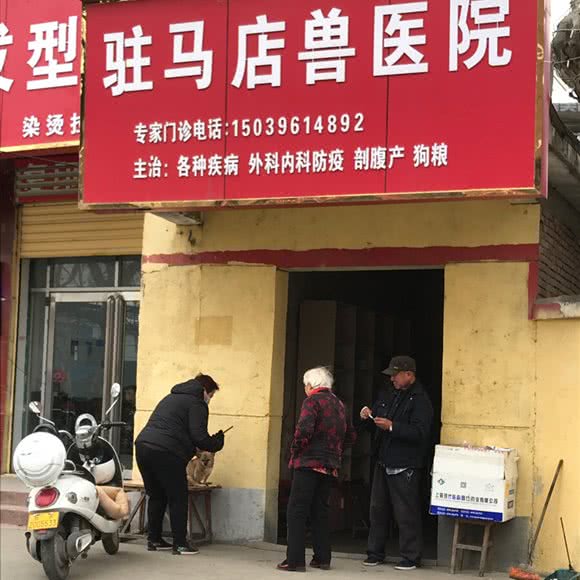 驻马店兽医院:驻马店市驿城区浙江国际商贸城附近