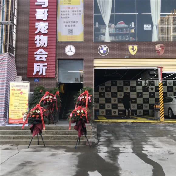 小马哥宠物会所:驻马店市驿城区驻马店市政府附近
