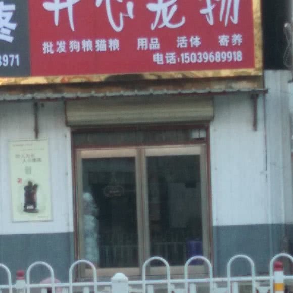 开心宠物:驻马店市驿城区铜山大道附近