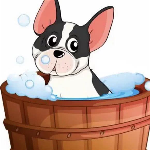 宠乐的狗狗:驻马店市驿城区鹏宇天下城/金茂中心附近