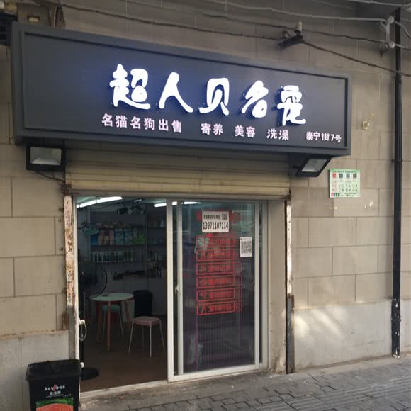 超人贝名宠:武汉市江岸区江汉路步行街附近
