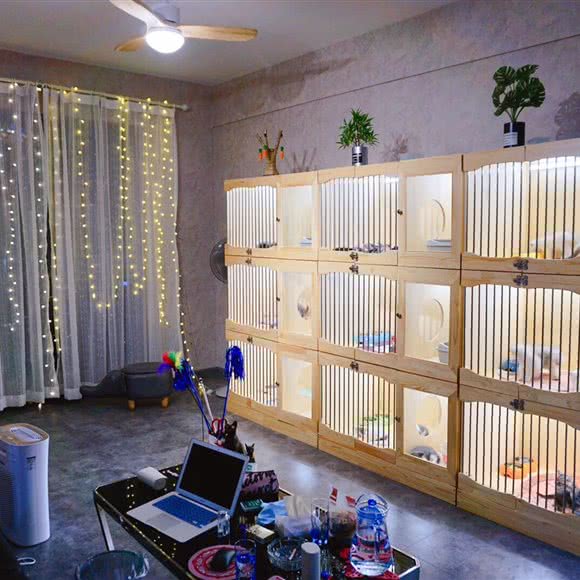 Tom Cat汤姆猫舍(江汉路店):武汉市江岸区江汉路步行街附近