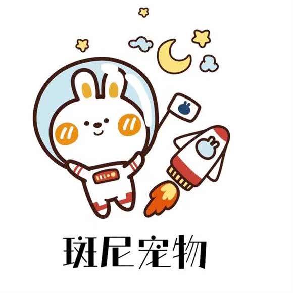 斑尼宠物(二七店):武汉市江岸区解放公园/武汉天地附近