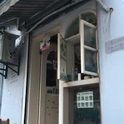 有家宠物店(车站路店):武汉市江岸区客运港/江滩附近