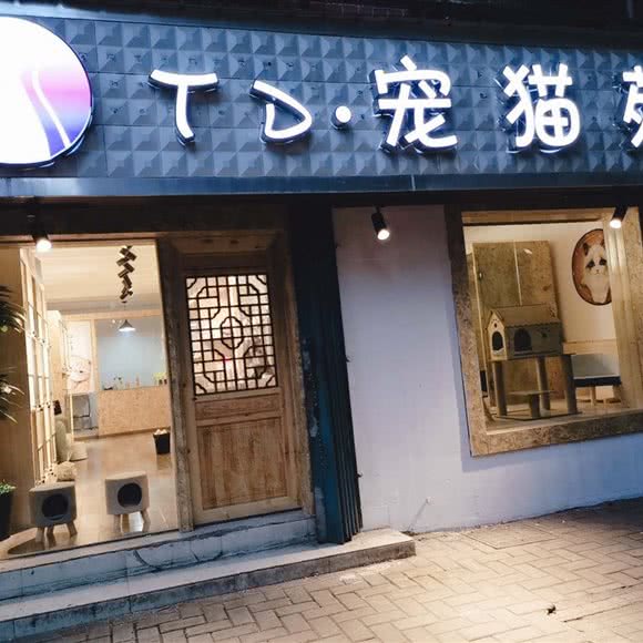 TD·宠猫苑:武汉市江岸区客运港/江滩附近