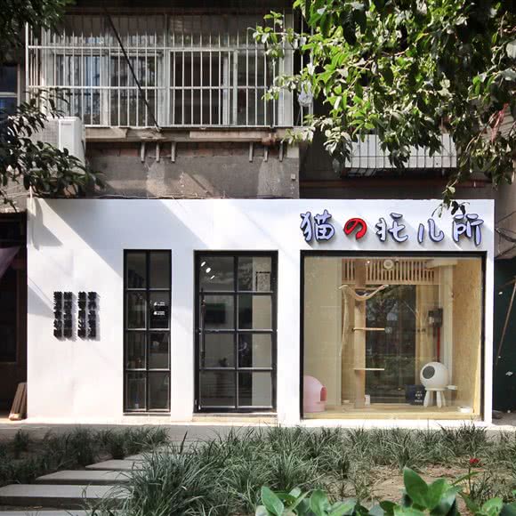 猫的托儿所(西北湖店):武汉市江岸区西北湖附近