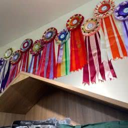 喵友记猫咪生活馆:武汉市江岸区港澳台风情街附近