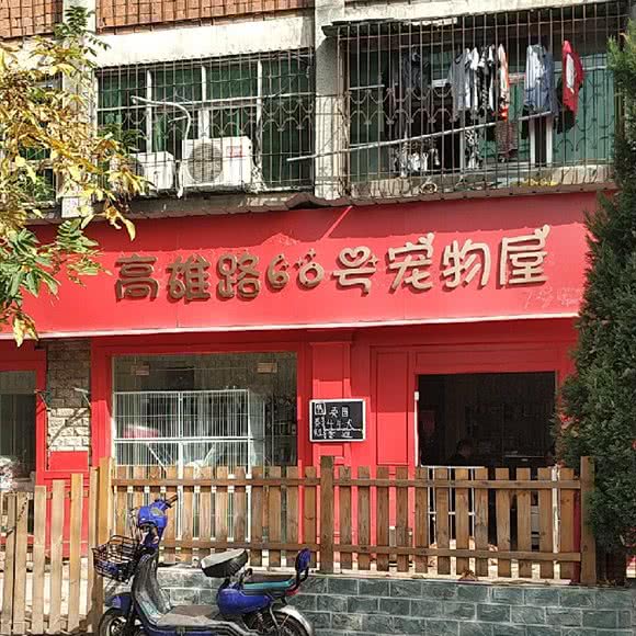 宠物屋:武汉市江岸区港澳台风情街附近