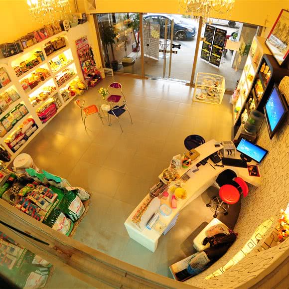 贵族宠物·宠物美容(三阳路店):武汉市江岸区港澳台风情街附近