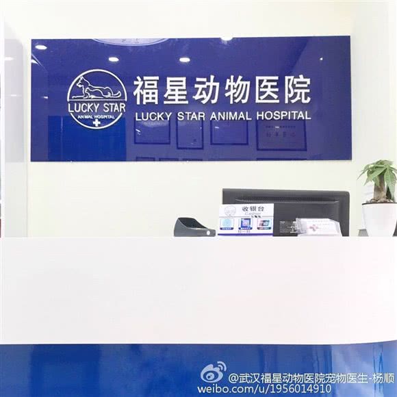 福星动物医院(台北路店):武汉市江岸区港澳台风情街附近
