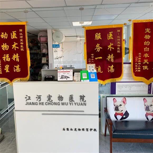 江河宠物医院:天津城区河北区天泰路/榆关道附近