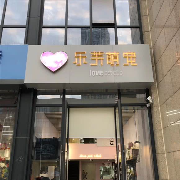 乐芙萌宠:武汉市江岸区后湖附近