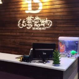 比蒙狗狗:武汉市江岸区后湖附近