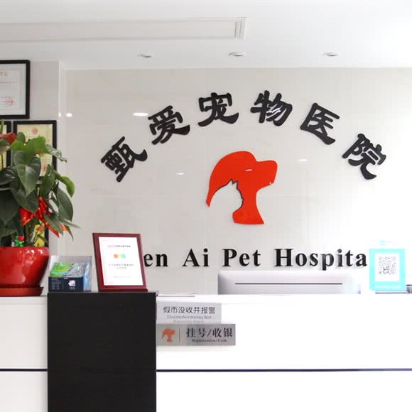 甄爱宠物医院:武汉市江岸区后湖附近