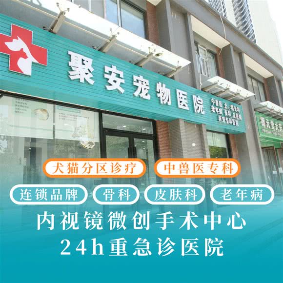 聚安宠物医院·内视镜微创手术中心(汉口总院):武汉市江岸区后湖附近