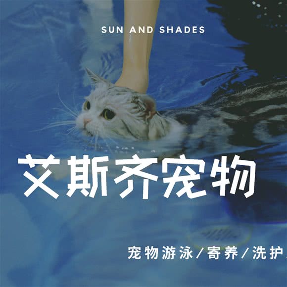 艾斯齐宠物(可游泳寄养):武汉市江岸区百步亭/二七附近