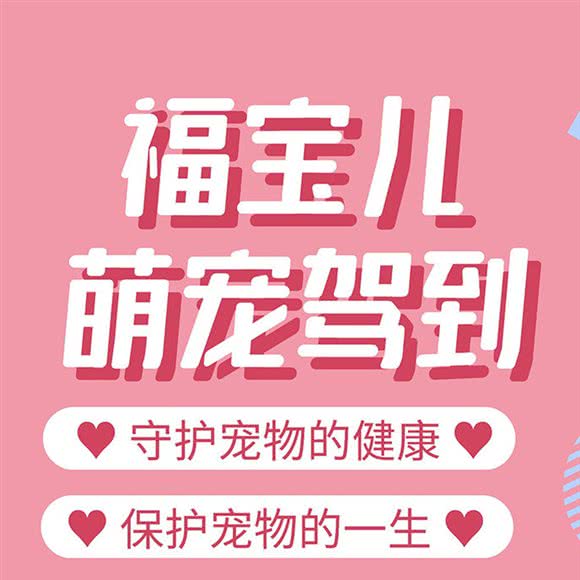 福宝儿宠物会所(二七店):武汉市江岸区百步亭/二七附近