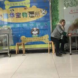 建华宠物诊所:武汉市江岸区百步亭/二七附近