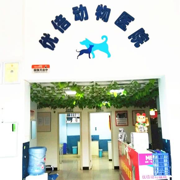 优倍动物医院:武汉市江岸区百步亭/二七附近
