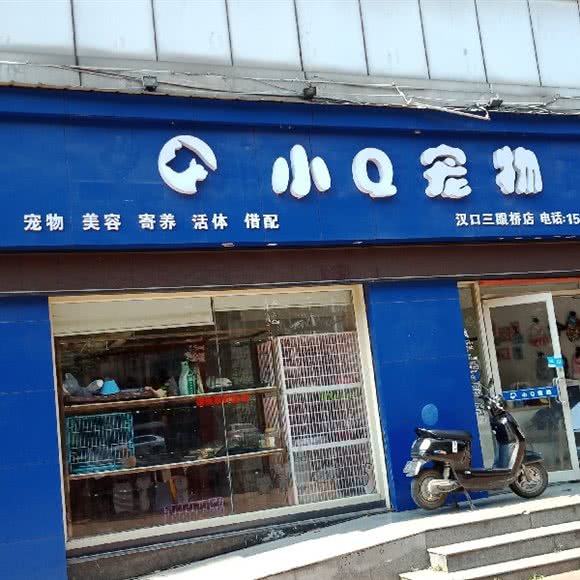 小q宠物:武汉市江岸区竹叶山/花桥附近