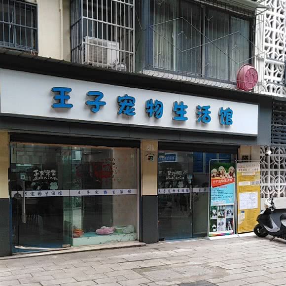 王子宠物生活馆:武汉市江岸区竹叶山/花桥附近
