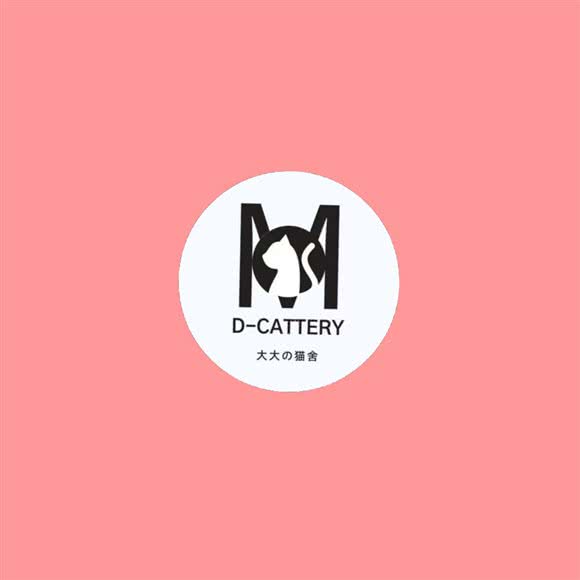 大大の猫舍:武汉市江岸区竹叶山/花桥附近