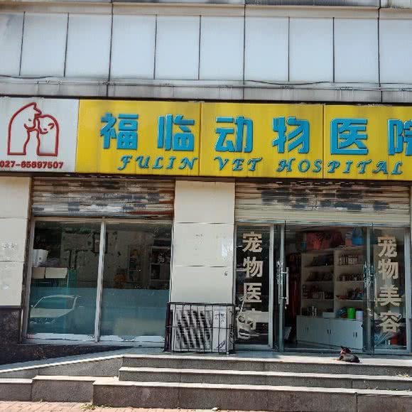 福林动物诊所:武汉市江岸区竹叶山/花桥附近