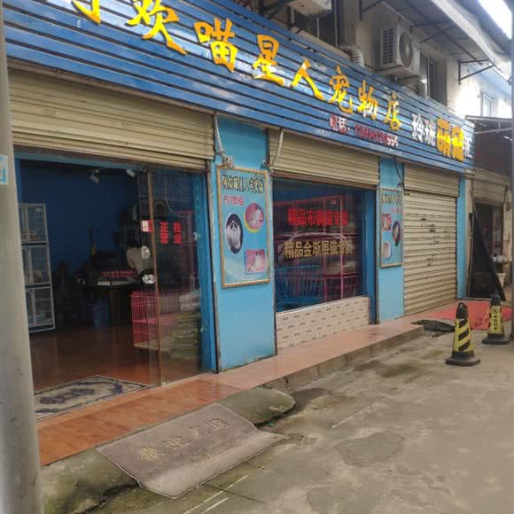 阿欢喵星人宠物店:武汉市江岸区新荣/堤角附近