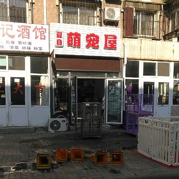 清凉萌宠屋:天津城区红桥区本溪路/丁字沽附近