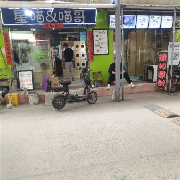 星喵喵哥:武汉市江岸区新荣/堤角附近