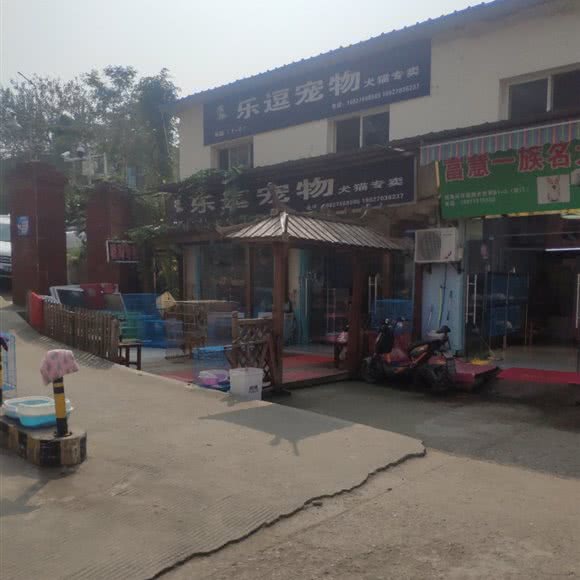 乐逗宠物犬猴子专卖:武汉市江岸区新荣/堤角附近