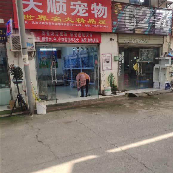 天顺宠物:武汉市江岸区新荣/堤角附近