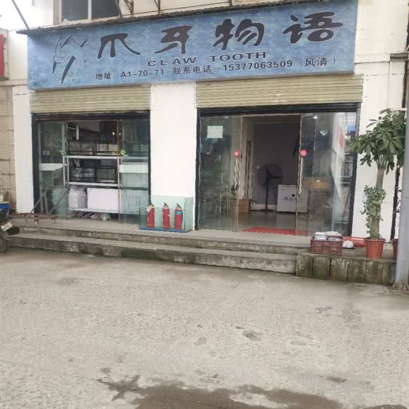 爪牙物语:武汉市江岸区新荣/堤角附近